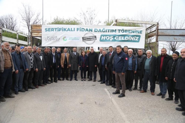 Gaziantep'in ilçelerindeki çiftçiye 50 bin fidan dağıtıldı