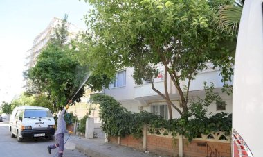 Nizip Belediyesi’nden sinek ve haşerelere karşı mücadele