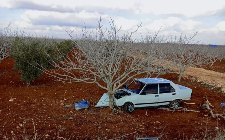 Karkamış Yolunda Kontrolden Çıkan Araç Tarlaya Uçtu: 4 Yaralı