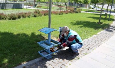 Nizip’te sokak hayvanları aç kalmıyor 